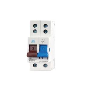 WCED 2 pole 100A Main Switch Dual top terminals