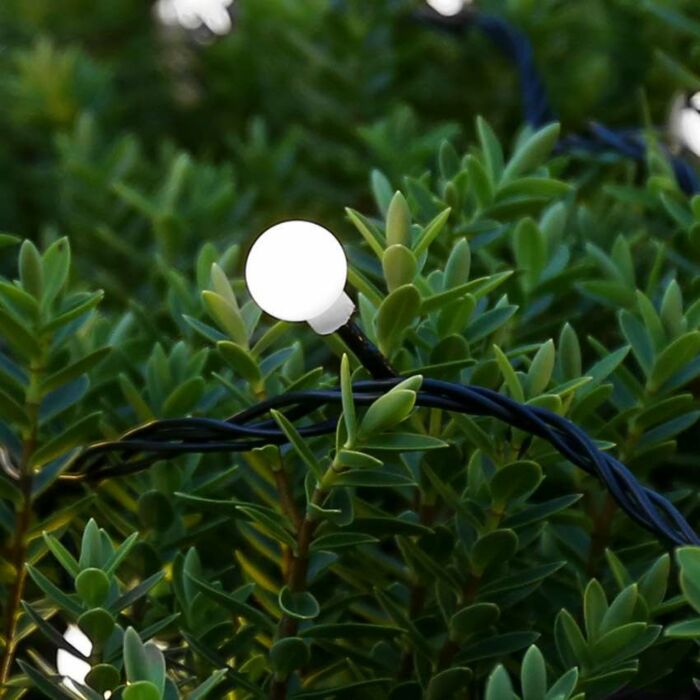 5m White ConnectGo® Outdoor LED Berry Lights, Connectable, Dark Green Cable, 50 LEDs