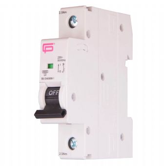 FuseBox MCB 63 Amp Type B 6kA 1P - MT06B631